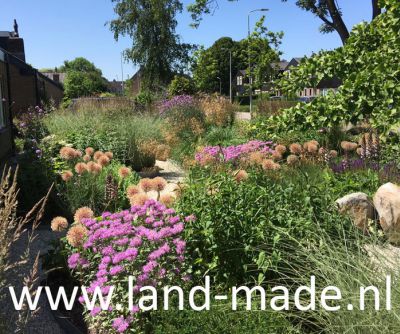 Landmade AudreyCoert tuinontwerp prairietuin juni